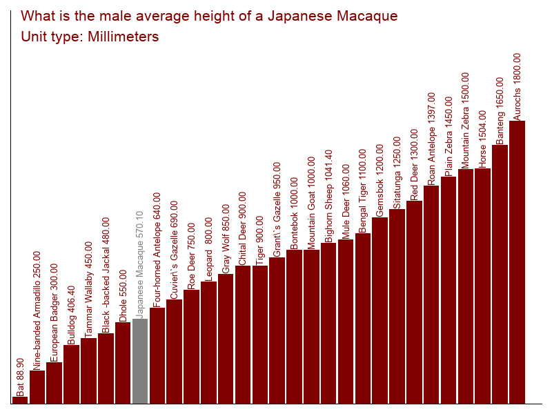 Average uk womens height Height Percentile